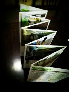 产品展示折叠卡-多折